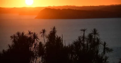 Island, tiritiri, new zealand