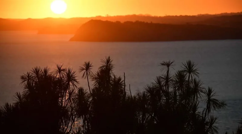 Island, tiritiri, new zealand