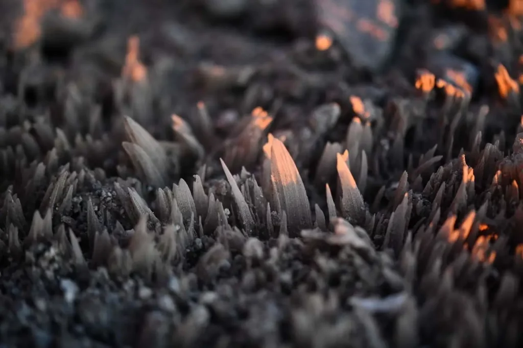 Froid, vent, stalagmite