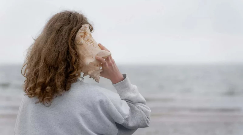 Entendre, coquillage, océan