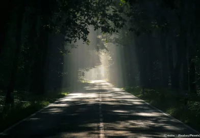 Silence, nature, photo