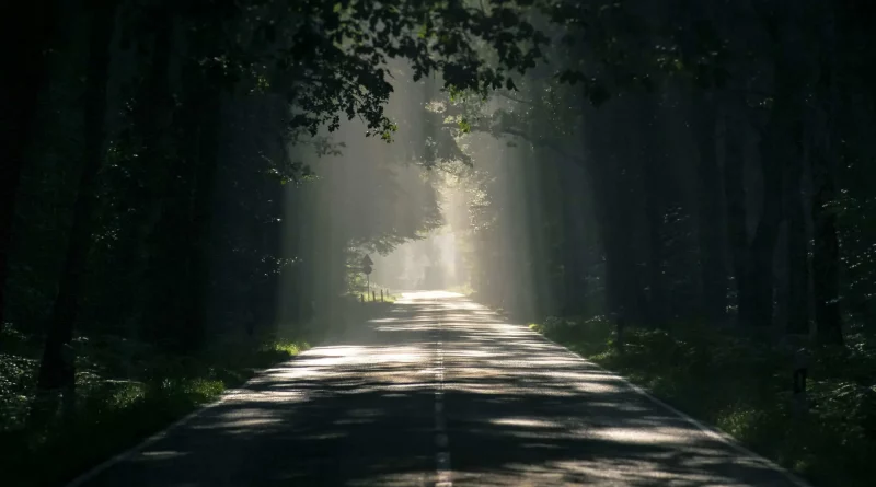 Silence, nature, photo