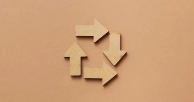 Le clitoris, ou le long retard de la connaissance Flèches, arrows, where